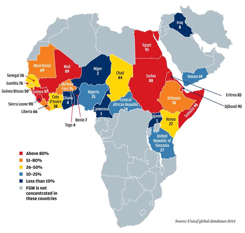 Percentage of FGM concentrated in countries across Africa. Source: Unicef Global Databases 2014