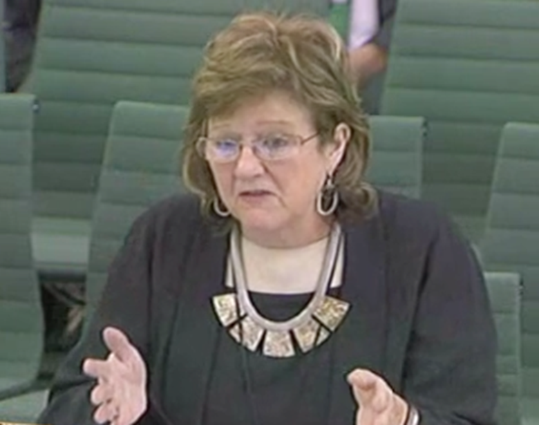 Professor Alexis Jay was appointed to lead the child sexual abuse inquiry in August. Picture: Parliament TV