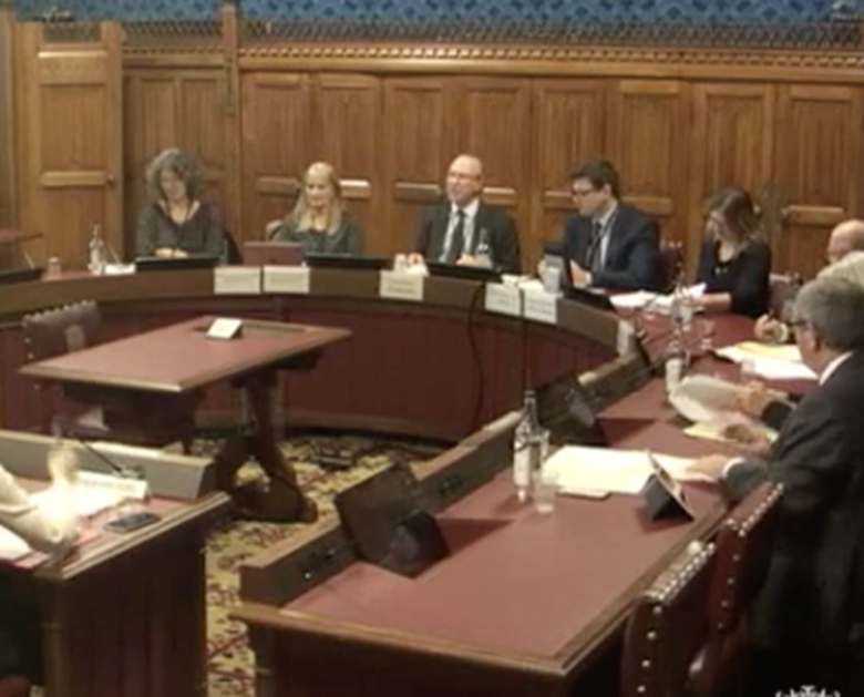 The House of Lords communication select committee has called for internet lessons to be part of mandatory PSHE. Picture: Parliament TV
