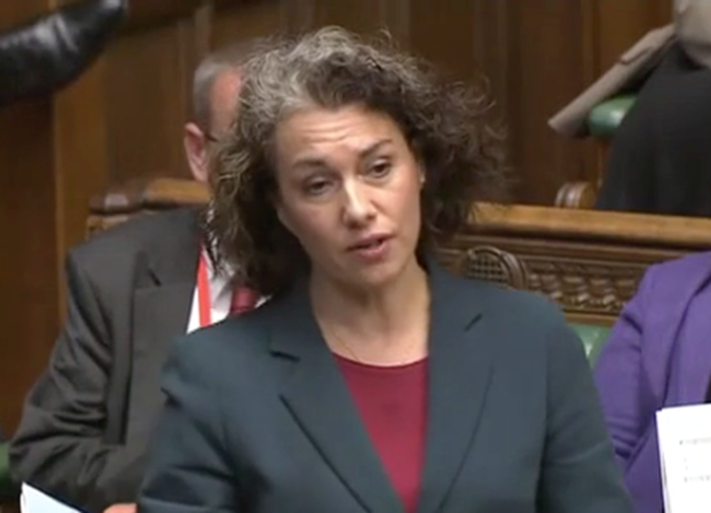 Labour MP Sarah Champion wants the government to move faster in introducing compulsory relationships education in schools. Picture: UK Parliament