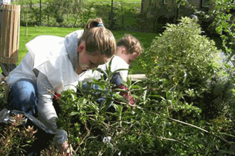Volunteering schemes effective when part of a broader curriculum