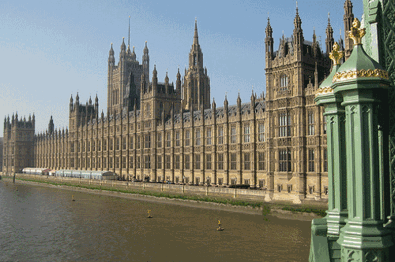Peers failed in their bid to get government adoption reforms scrapped. 