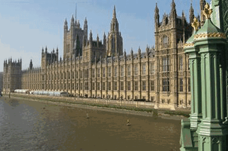 A joint committee of peers and MPs have been scrutinising the new Domestic Abuse Bill