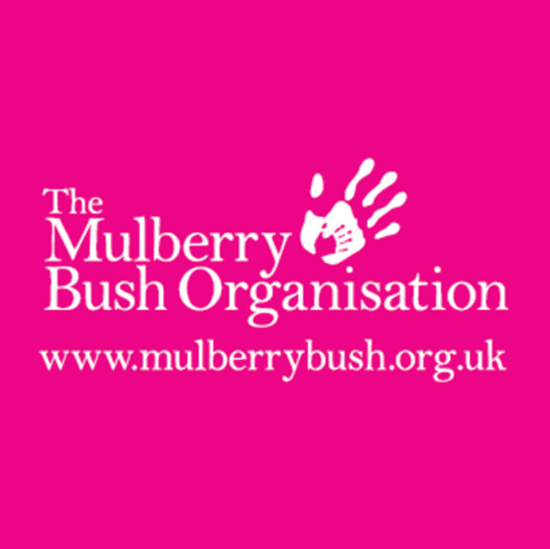 Mulberry Bush Organisation