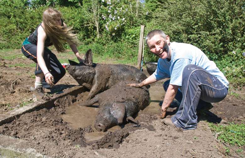 Young people take part in a range of farm activities, including caring for animals