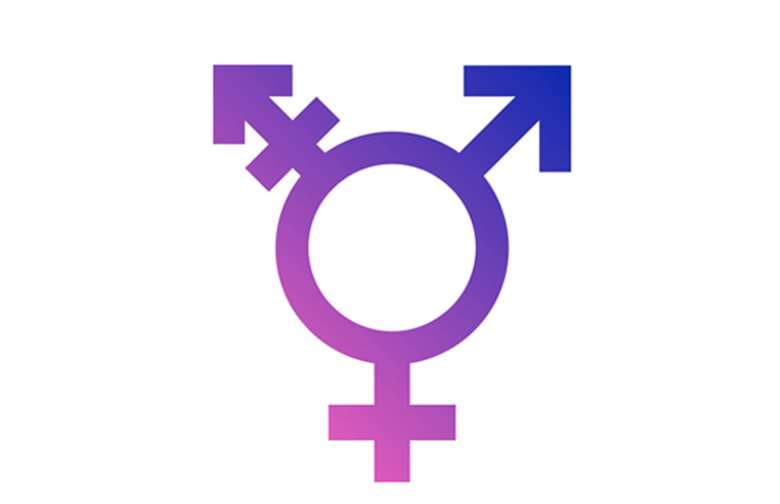 Transgender symbol. Picture: ParaDox/Wikimedia Commons