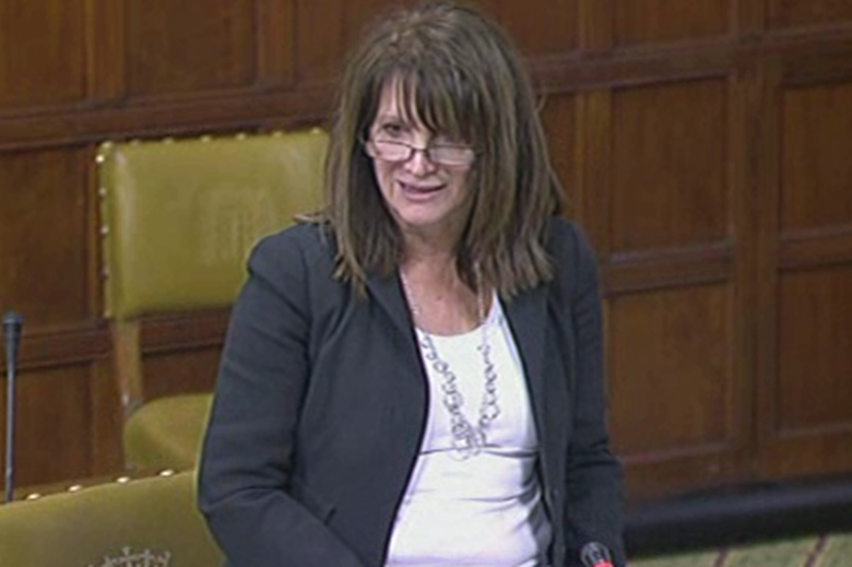 Lib Dem peer Lynne Featherstone wants the government to require schools to teach children about female genital mutilation. Picture: UK parliament