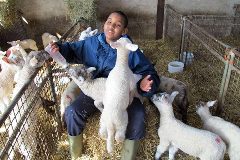Farming tasks such as lambing help children to develop empathy and confidence. Picture: Jamie’s Farm