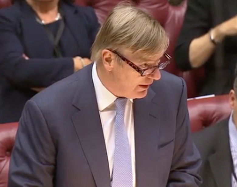 Education Minister Lord Nash said mental health checks for children entering care will be trialled in as many as 10 pilot areas. Picture: Parliament TV