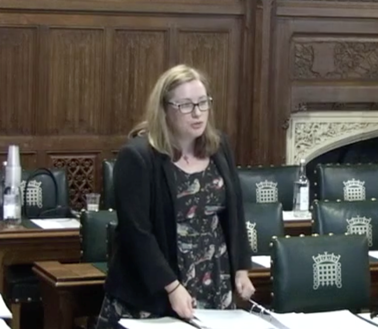  Emma Lewell-Buck said the time and money the government has spent on adoption is "staggering". Picture: Parliament TV