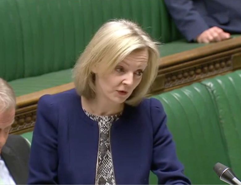Justice Secretary Liz Truss has announced that the YJB will no longer be responsible for commissioning and overseeing youth custody. Picture: UK Parliament