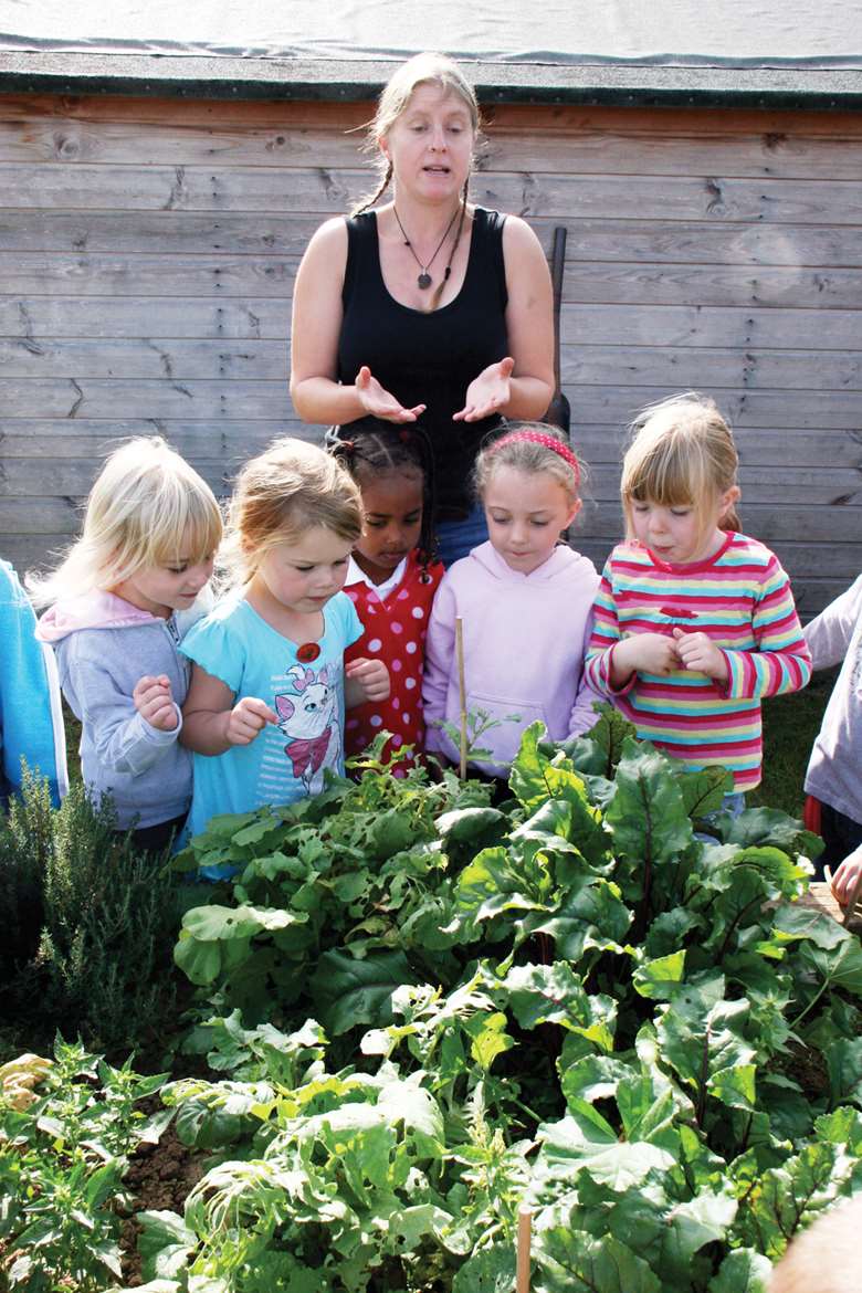 Visiting allotments is a good way to bring to life children’s learning about vegetables. Picture: Lucie Carlier