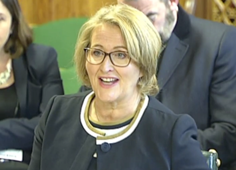 Children's commissioner Anne Longfield is concerned that schools are forcing children to leave school. Picture: UK Parliament