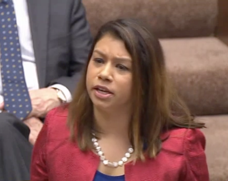 Tulip Siddiq is calling for new passports for children to contain the names of both parents. Picture: UK Parliament