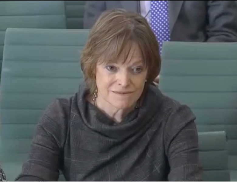 Dame Glenys Stacey said probation staff are hampered by a lack of access to information on child safeguarding. Picture: UK Parliament