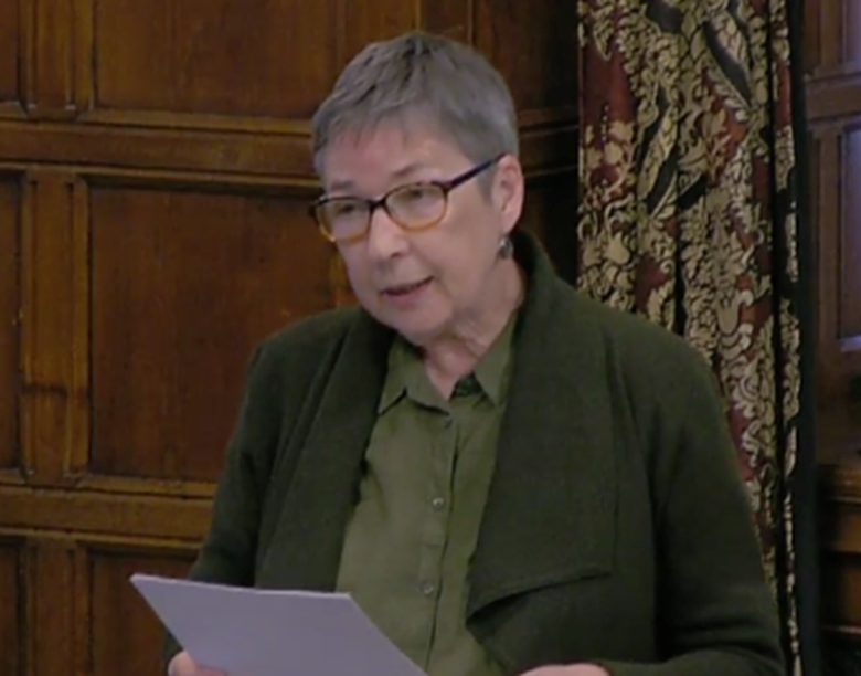 Labour MP Ann Coffey said she is concerned is that children are being placed in children's homes out of their local area because there is no choice in provision. Picture: UK Parliament