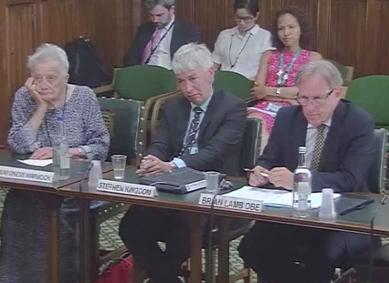 The education select committee's inquiry SEND inquiry is reviewing the success of the Children and Families Act 2014 that replaced SEN statements with education, health and care plans. Picture: UK Parliament