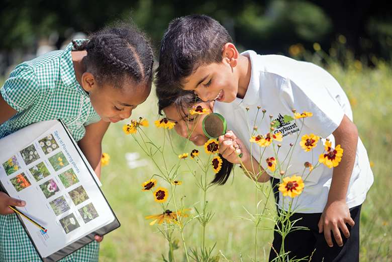 The RSPB’s programme helps children learn about nature by connecting them to the outdoor spaces around them