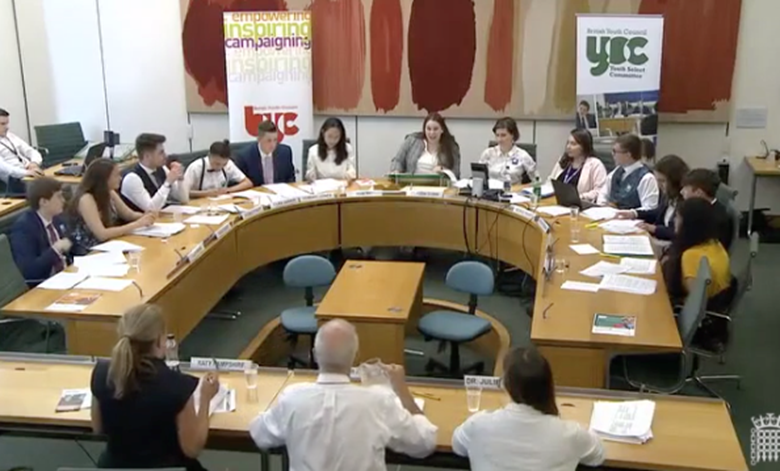 The Youth select committee is conducting an inquiry on barriers to work experience. Picture: UK Parliament