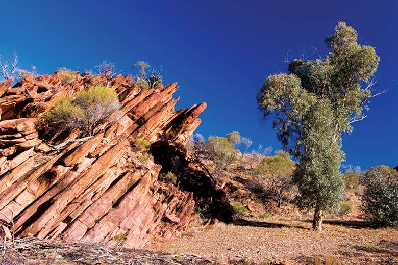 South Australia contains some of the most rural and arid parts of the country. Picture: lkpro/Adobe Stock