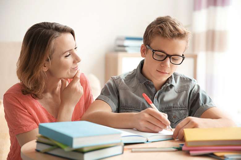 Around 78,800 children and young people were home educated at some point during the 2018/19 academic year. Image: Adobe Stock