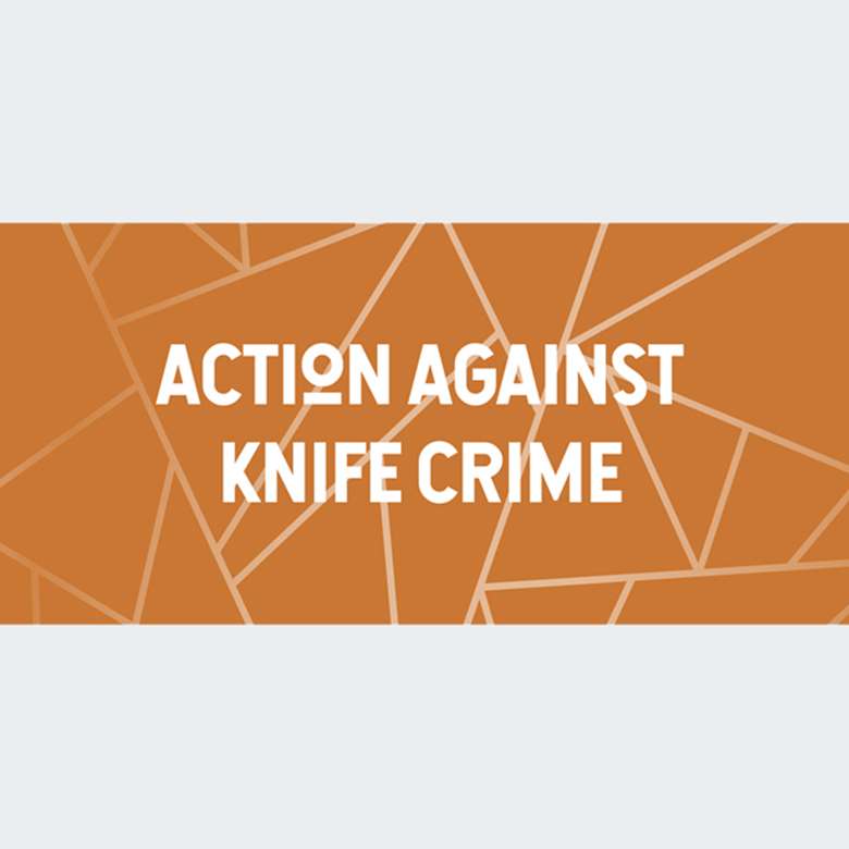 The UK Youth Parliament is campaigning to cut knife crime