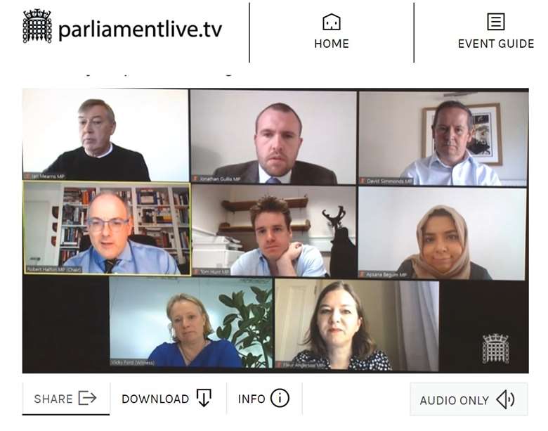 The discussion was held remotely. Picture: Parliament TV