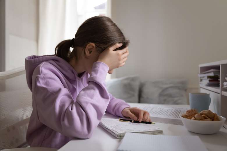 Victims reported being unable to concentrate on school work. Picture: Adobe Stock