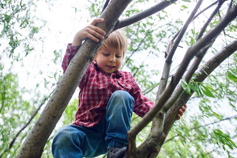 Children are encouraged to take part in 'risky' activities to reduce anxity, psychologists said. Picture: Adobe Stock