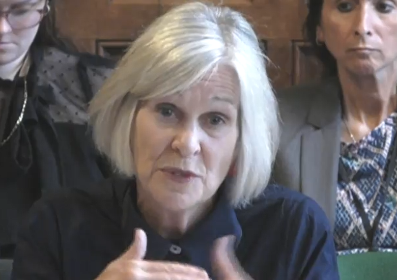 Annie Hobson speaks to the education select committee. Picture: Parliament TV