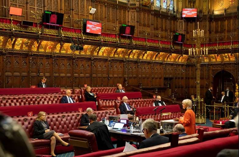 Peers have scrutinised the government's implementation of the Children and Families Act 2014. Picture: Parliament UK