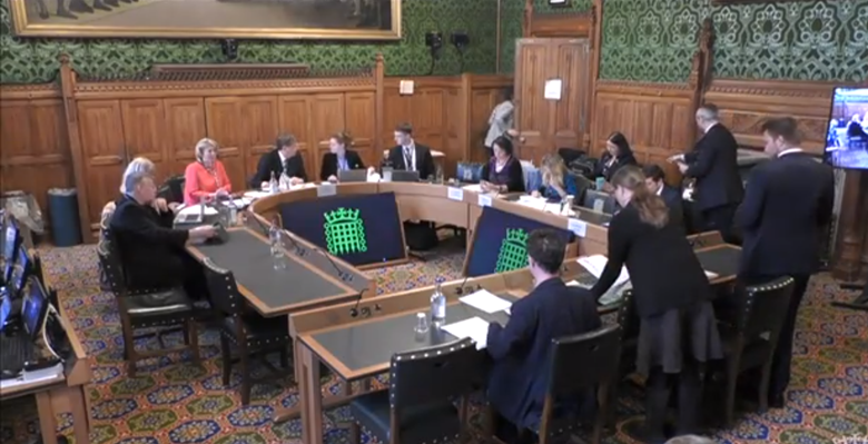 Workforce challenges must be addressed before reforming childcare, experts told MPs. Picture: ParliamentTV