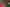 Concerns have been raised around the effectiveness of the ‘letterbox’ system of contact. Picture: Matthew Ashmore/Adobe Stock 