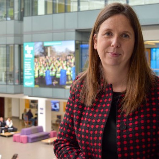Lucy Townsend is director of people at Wiltshire County Council. Picture: Wiltshire County Council