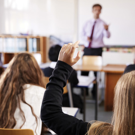 Neurodivergent pupils face challenges in the classroom, experts say. Picture: Monkey Business/Adobe Stock