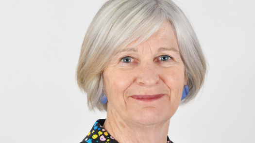 Annie Hudson is chief executive of the review panel. Picture: College of Social Work