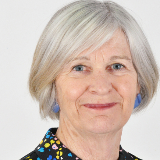 Annie Hudson is chief executive of the review panel. Picture: College of Social Work