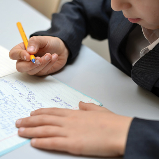 The book puts forward suggestions to improve schooling for disadvantaged children. Picture: Andov/Adobe Stock
