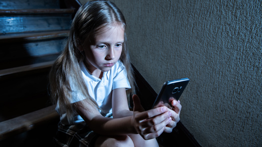 Safeguarding policies should be updated to reflect increased home learning, experts say. Picture: Adobe Stock
