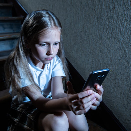 Safeguarding policies should be updated to reflect increased home learning, experts say. Picture: Adobe Stock