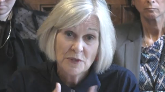 Annie Hobson speaks to the education select committee. Picture: Parliament TV