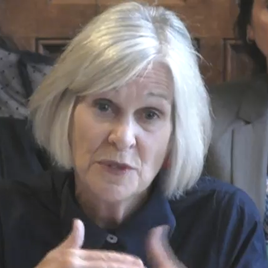 Annie Hobson speaks to the education select committee. Picture: Parliament TV