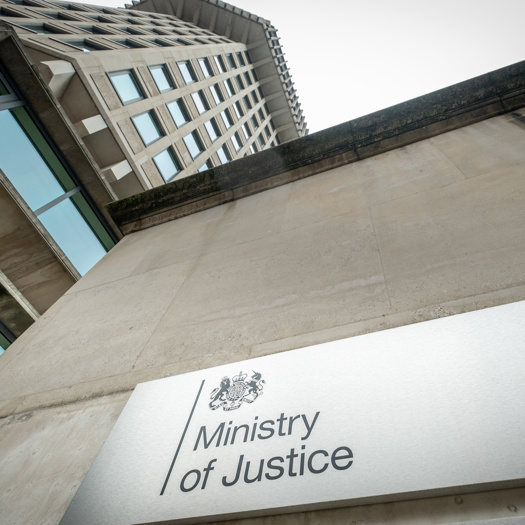The Ministry of Justice has issued a policy directive on painful restraint in the youth secure estate. Picture: William/Adobe Stock