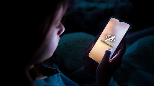 The law has been put in place to protect young people on the internet. Picture: Adobe Stock/Suzi Media