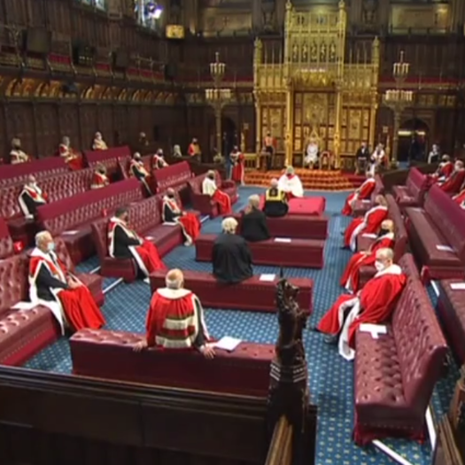 The Queen also announced the government's commitment to education catch-up. Picture: Twitter/House of Lords