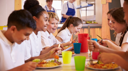 There are calls for the government to provide more free school meals. Picture: Adobe Stock/ Monkey Business