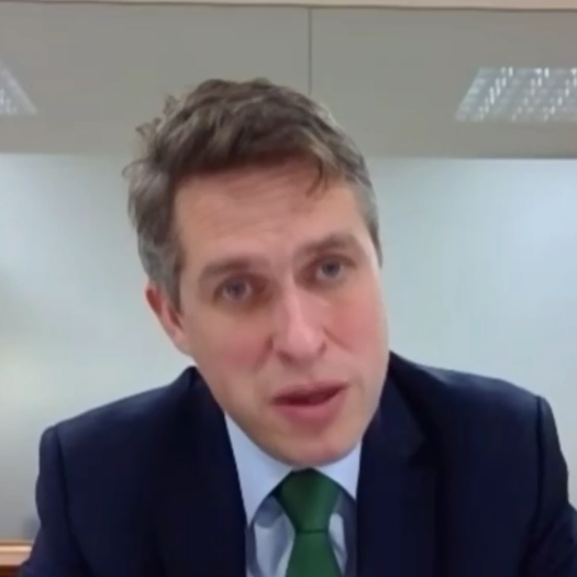 Gavin Williamson spoke to the education select committee on Wednesday. Picture: Parliament Live