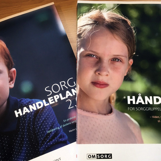 Denmark has a high rate of implementation for bereavement support in schools