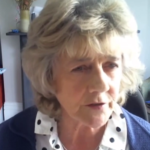 Professor Elaine Palmer said marginalised groups had been 'passed over' for a decade. Picture: Parliament TV.