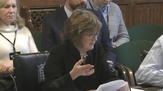 Professor Alexis Jay, chair of the IICSA, presented evidence from the inquiry to the education select committee. Picture: Parliamentline.tv